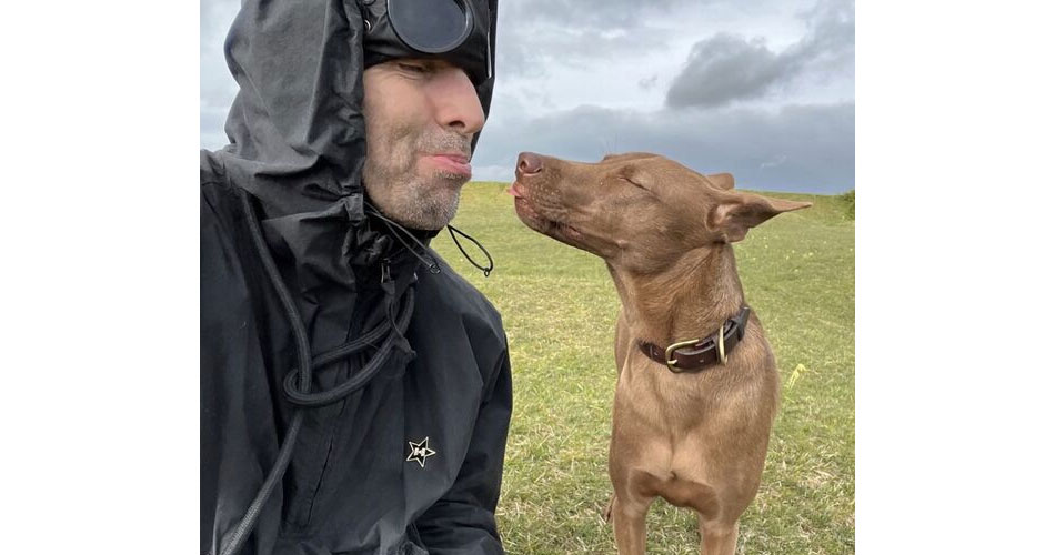 Liam Gallagher recebe prêmio da PETA por apoio à causa animal